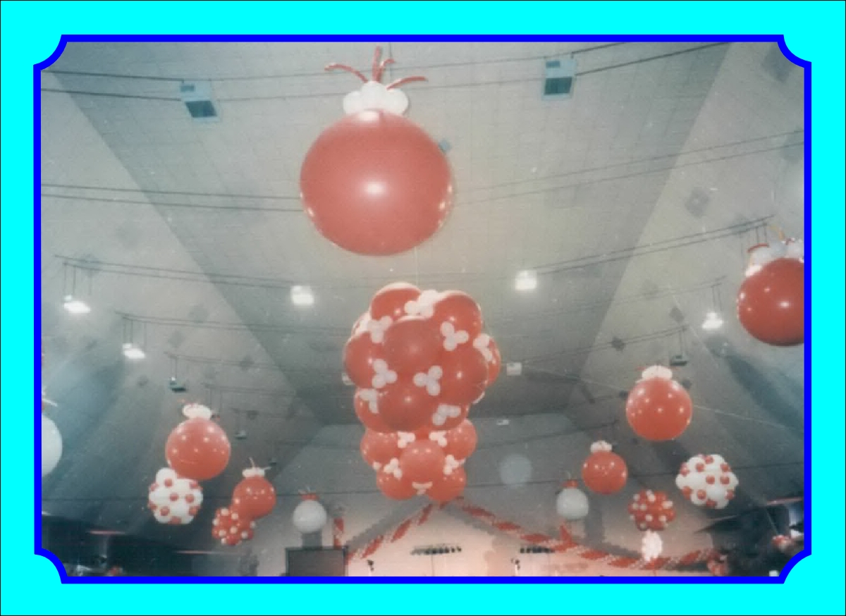 35 Jahre Ballonservice Jungk – Bild 318